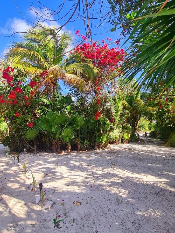 Hotel Maya Luna Adults Only Махауаль Экстерьер фото