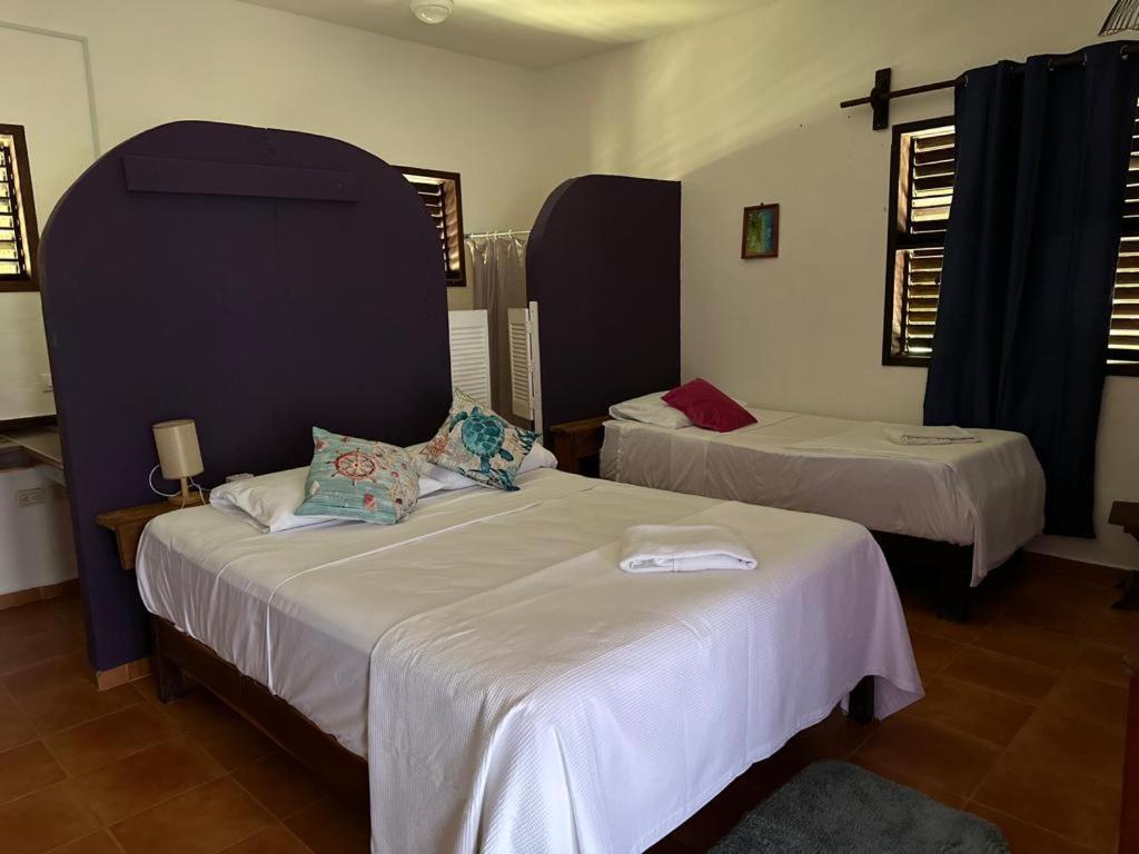 Hotel Maya Luna Adults Only Махауаль Экстерьер фото